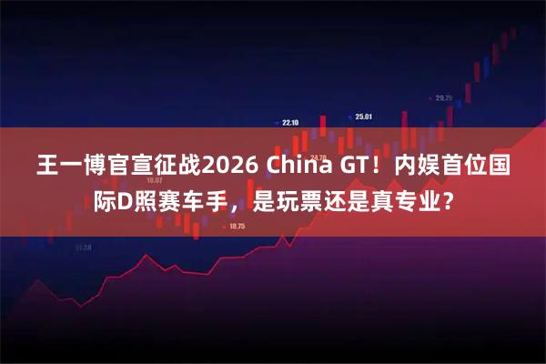 王一博官宣征战2026 China GT！内娱首位国际D照赛车手，是玩票还是真专业？