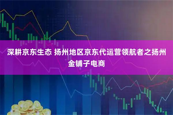 深耕京东生态 扬州地区京东代运营领航者之扬州金铺子电商