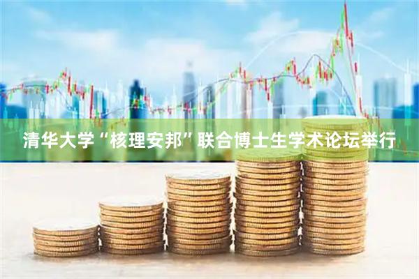 清华大学“核理安邦”联合博士生学术论坛举行